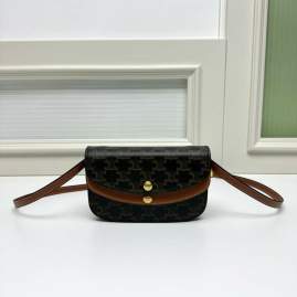 Picture of Celine Handbags _SKUfw230748919fw